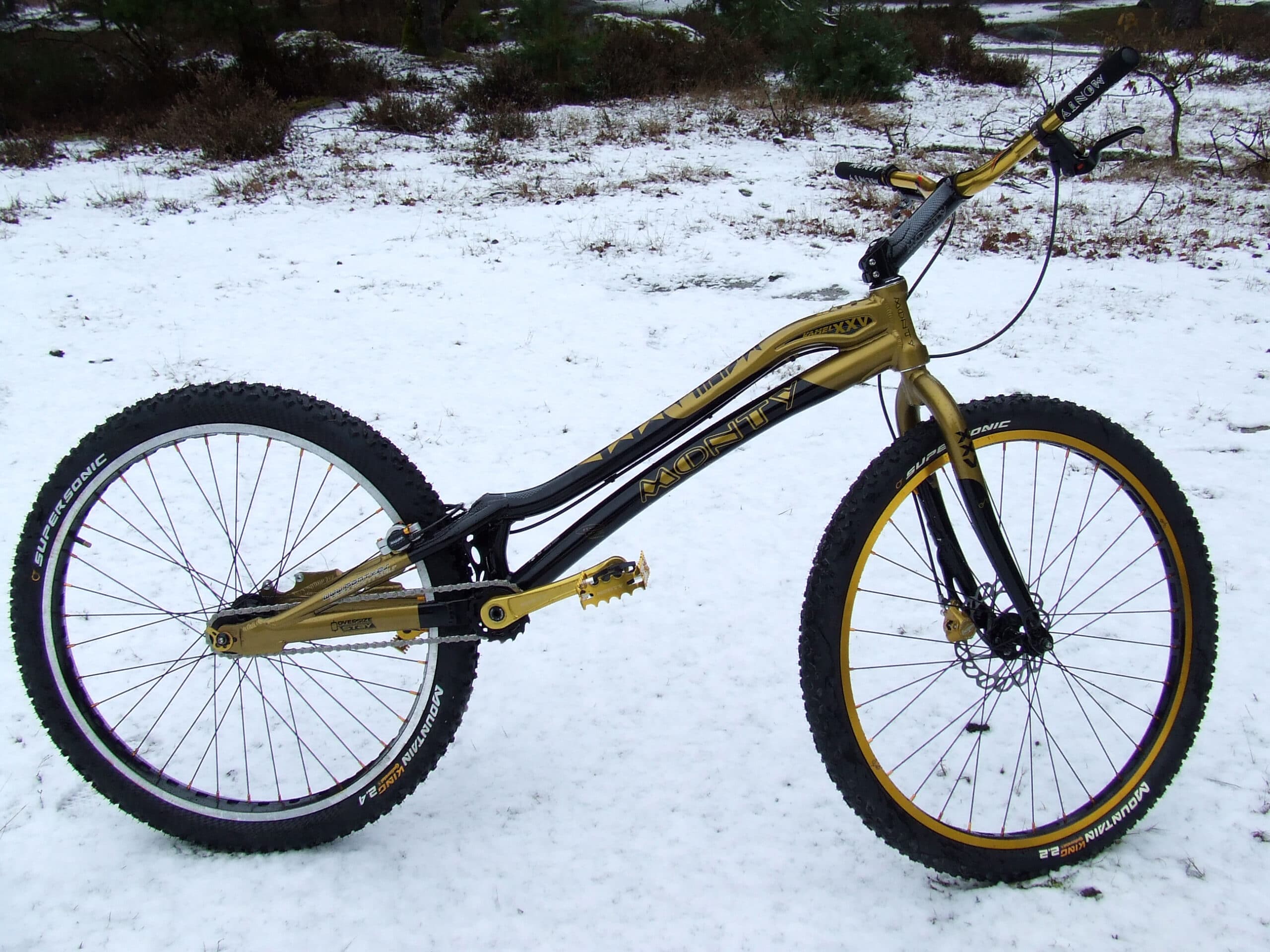 Monty Kamel XXV 26" 2010