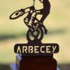 trial arbecey 2017