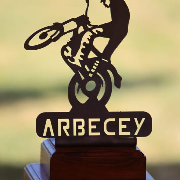 trial arbecey 2017
