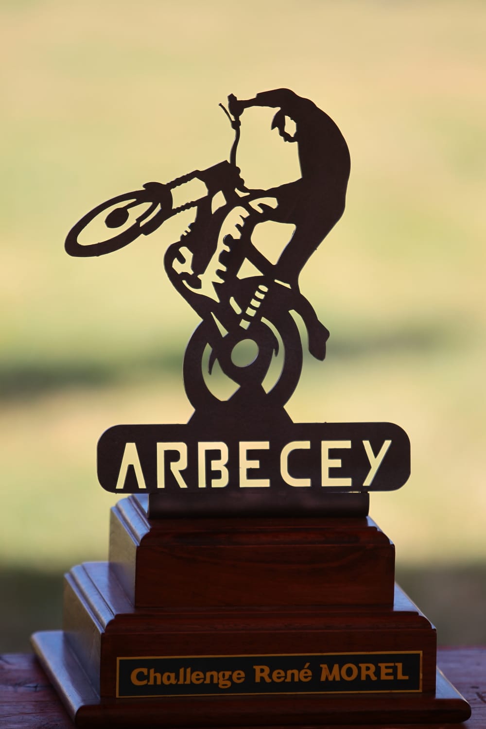 trial arbecey 2017