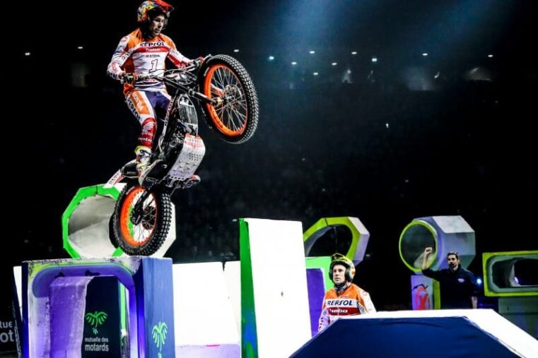toni bou