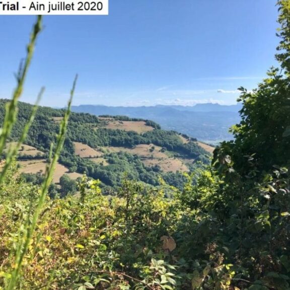 Le Trollsports prend un bol d'air