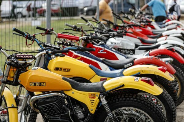 TdN Vintage