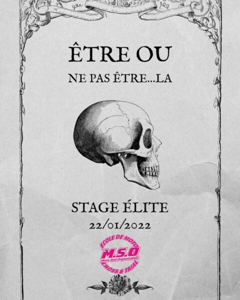 stage MSO