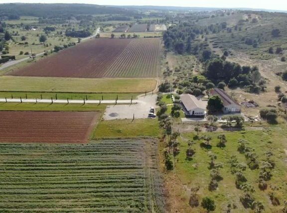 essais St Savournin 2023