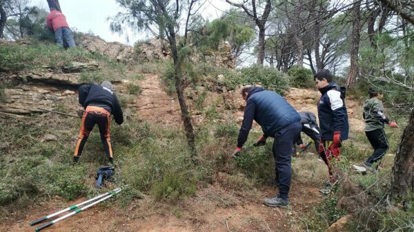 TC Narbonne Cathare