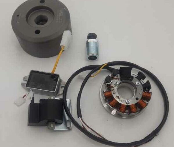 Allumage électronique Fantic 200