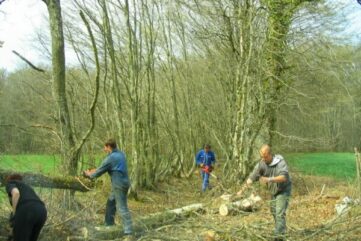 Journées des chemins