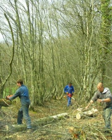 Journées des chemins