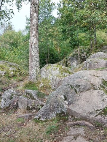 3 jours des Hautes Vosges