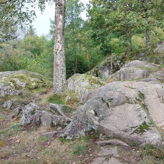 3 jours des Hautes Vosges